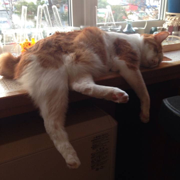 F76a5f94 e122 4287 9655 f9820fb5c6c5 1509571721571