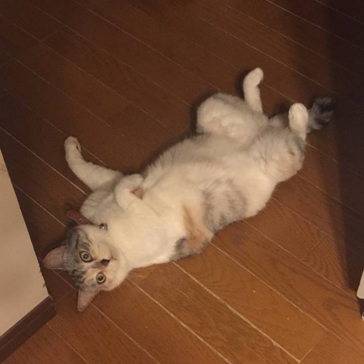 F76ab807 00d1 4d6b 82e2 298cd6309261 1559826243643