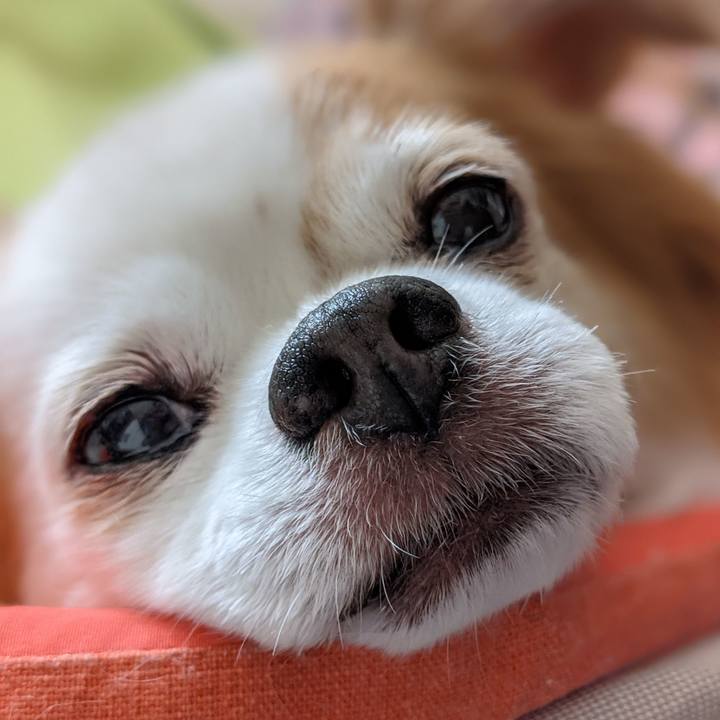 F76acf98 bf38 49d1 a299 bbc80a09bc75 1622722671950