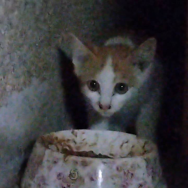 F76ad21f f289 4474 9271 29a24d192043 1724322490885