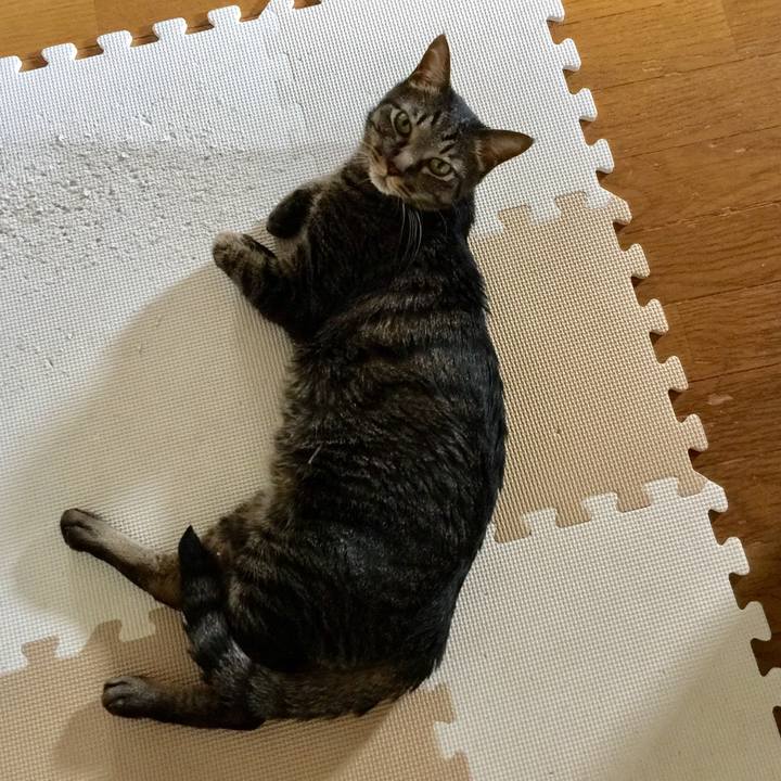 F76ad8c5 f198 47bd aaa3 f52cde39dba4 1532391369845