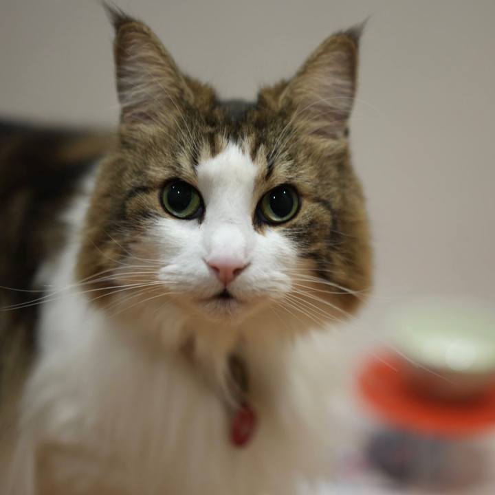 F76ae9e1 d12e 43f9 95db 5b96bd972605 1701518381416