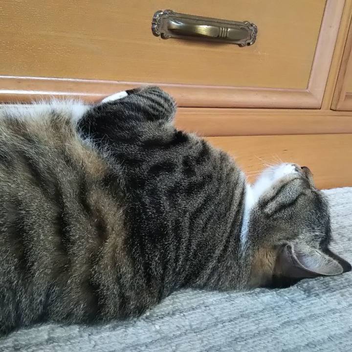 F76af530 5ba1 4d24 8212 43d561ac9bb9 1623704814728