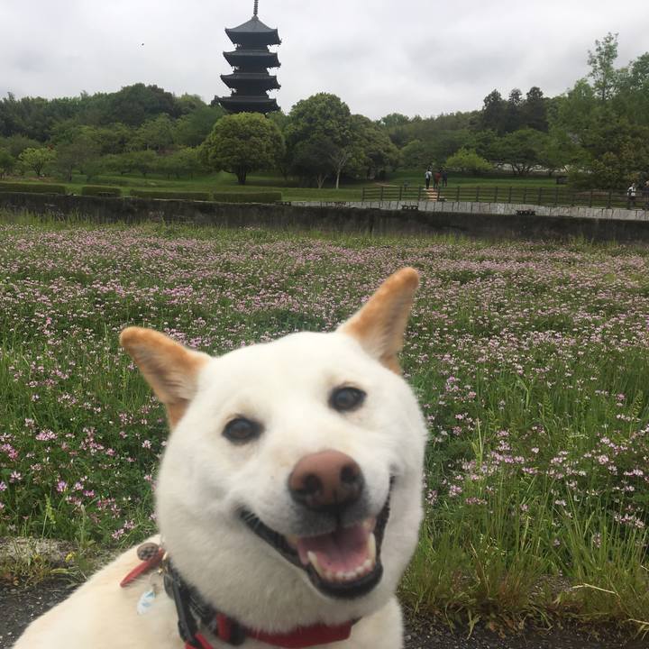 F76afb0a b78e 4f10 be6f 3fffd61df751 1557226377713