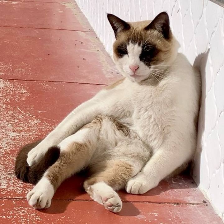 F76afb75 f093 4a8a bd7f 2ca3789c5621 1740361420765