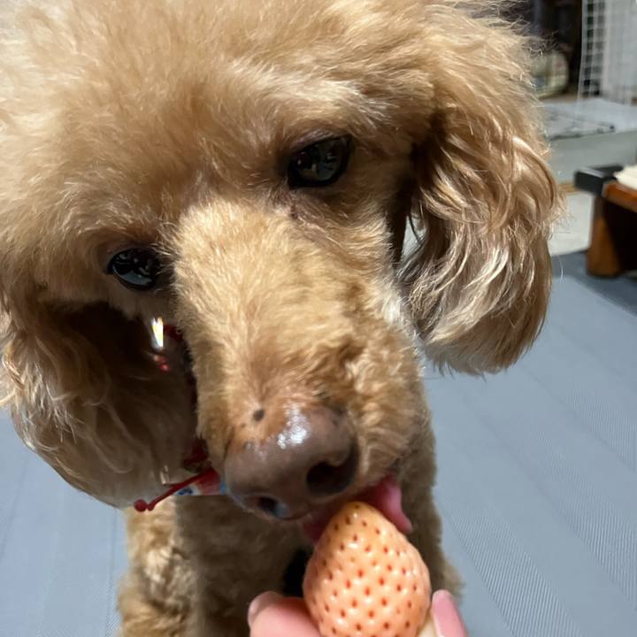 F76b15d7 d7b7 4aba 828a 89c68d27ae1d 1653457902033