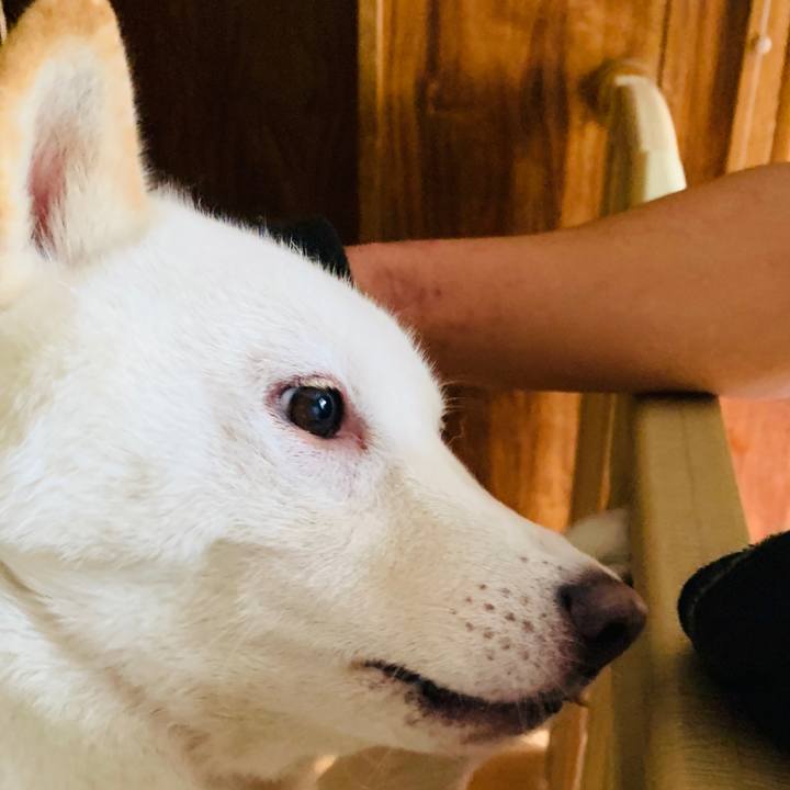 F76b1a2b f128 4acd 970a e9cb01b9deb6 1568776782420