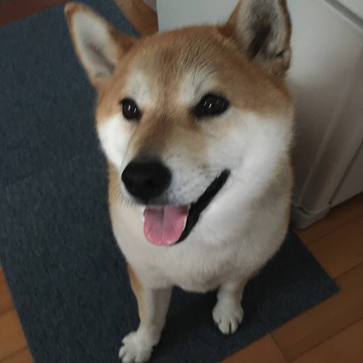 F76b49aa 9e00 4f8a 8936 f2e8a345c04a 1592558272837