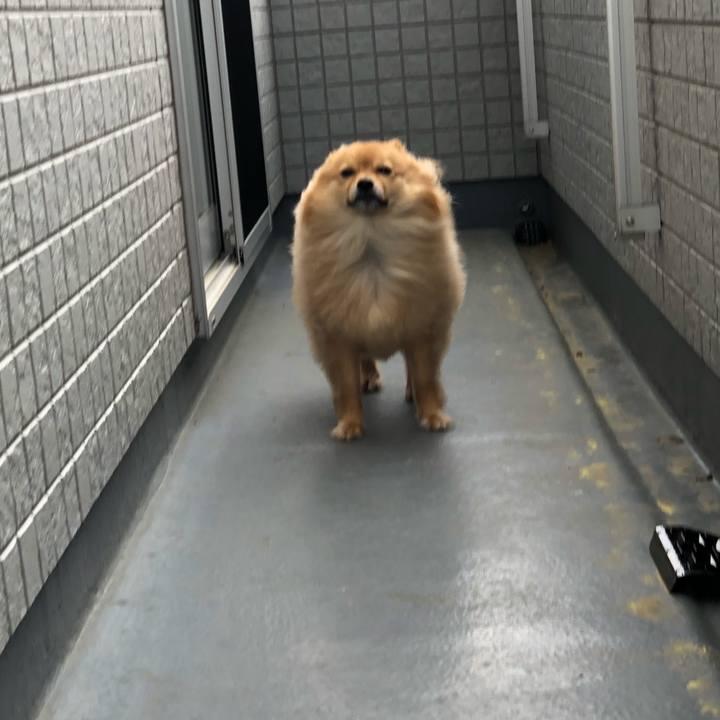 F76b57f9 9386 4d43 a285 47bcb8f51e1e 1680840841480