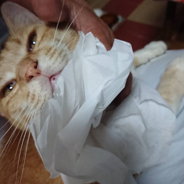 F76b6cf7 db6b 4083 8fa5 270f9d4ab53f 1593299087849