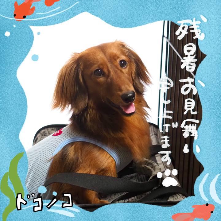 F76b7381 23fe 4cb6 819e 8d082f77648b 1723295801560