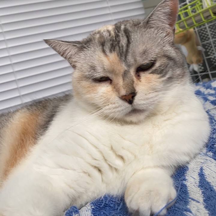 F76bbf5c 64eb 4b02 862e 3952df36bc35 1659010859723