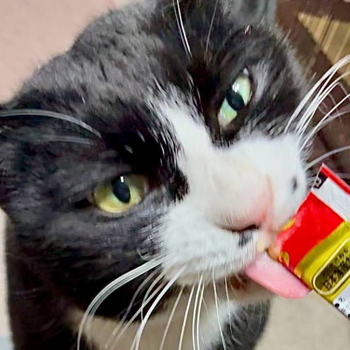 F76bd14a d5bd 4722 8361 ee2aa7cde898 1770732832555