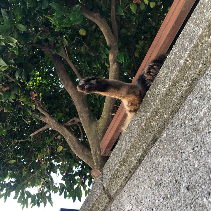 F76bf23e 41cd 467b 8802 334ffff91c9c 1627886018229