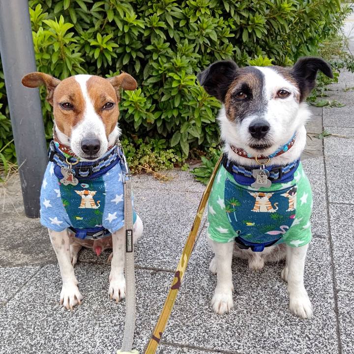 F76bf36c b6aa 43ba a611 39dfbbf7d9a3 1632782912340