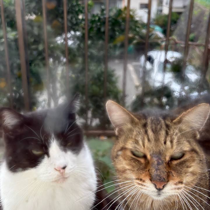 F76bfa7b 444e 46f4 98dd ae066324e399 1762038483826