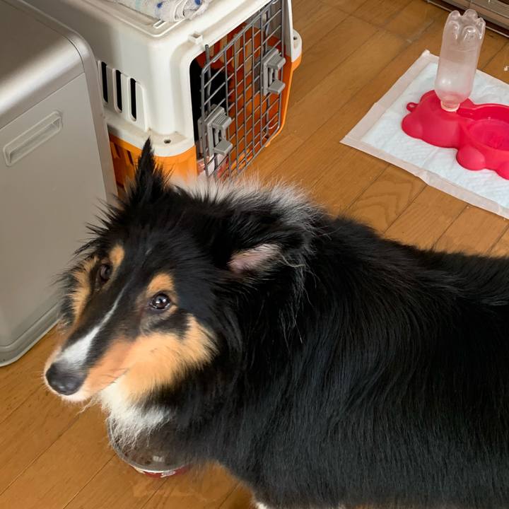 F76c28ec 8561 4dd7 9357 cf4f711687de 1593727195872