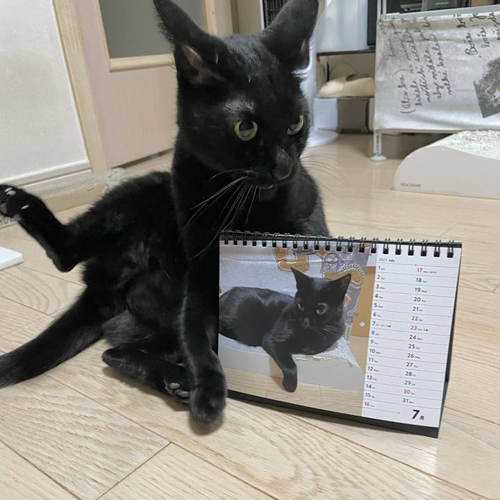 F76c3db6 4f32 4f29 bb3b d1a1cd5259a2 1690893836773