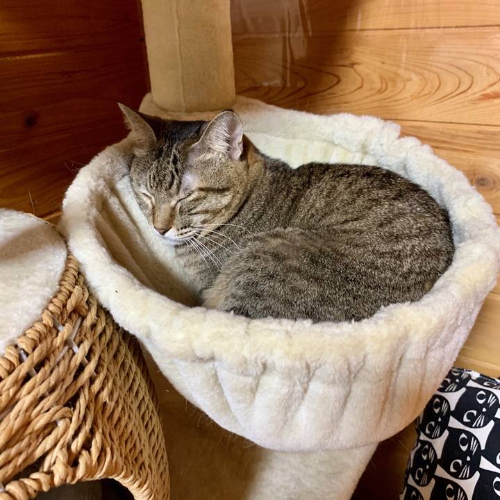 F76c409a d79f 44fa a91d e0e54a56e357 1602668619559