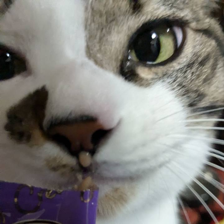 F76c48cf d3f3 47ae bce7 2c5650b373b8 1732279430410