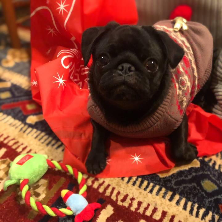 F76c8584 25e4 418e b509 9c6368f40fe2 1608807804731