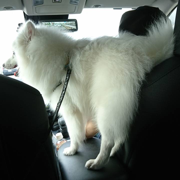 F76c9ac2 2698 4324 9c32 045a8ac37b94 1562396779884