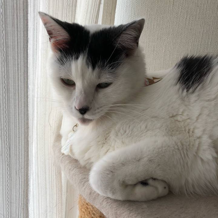 F76ca081 71dd 4348 b72a b695694f441e 1540510237654