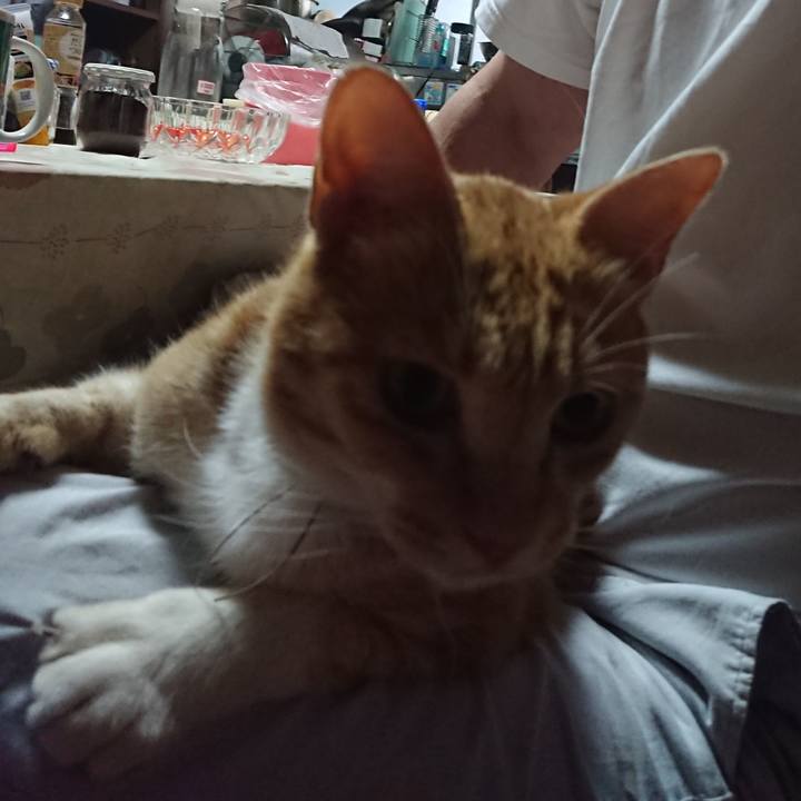 F76cad02 55a4 4d3d 85d7 95fc04dbf1d9 1593202809144