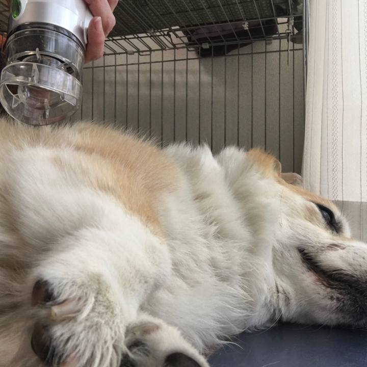 F76cc5cd 1df2 4ce0 8365 97d48da5e2f0 1525830654997