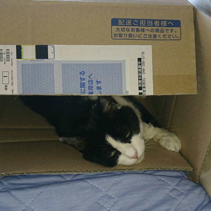 F76ce13e c3af 4224 92b4 96663be976b4 1564010246071