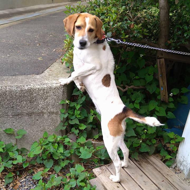 F76cf251 c89b 47fb bc99 d1052de844d8 1621674600119