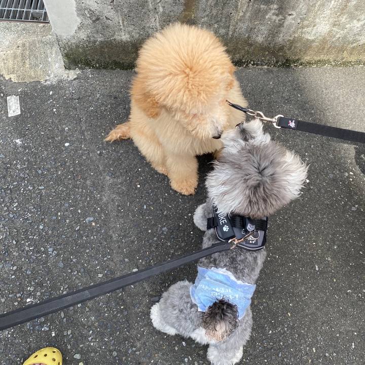 F76d1ca9 cb34 4f94 8b2d 973cc95cdd07 1597293628836