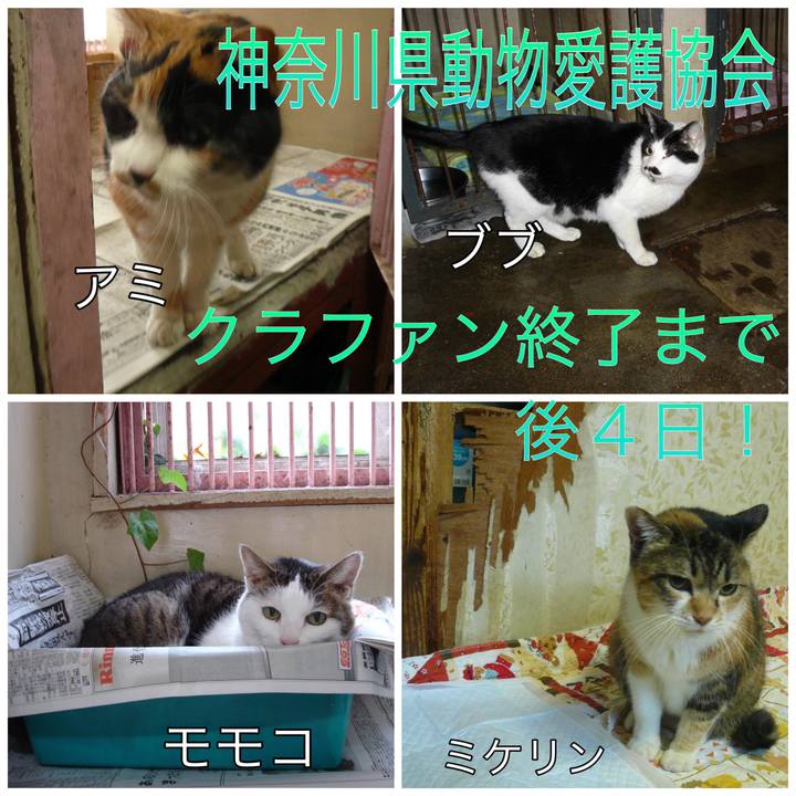 F76d1fe1 72c3 4feb 99af 5efd9bb3a662 1688973361032