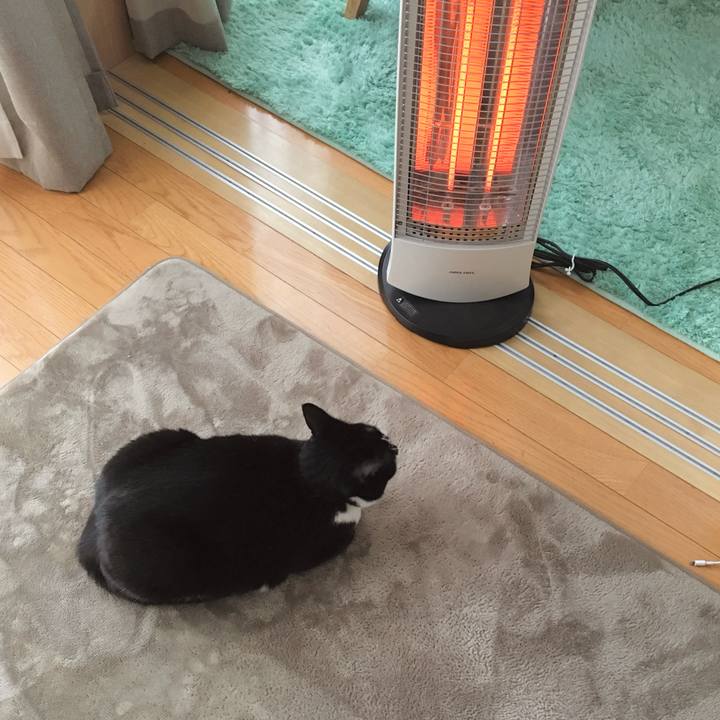 F76d20a8 b103 426b 8807 f64934e20f09 1767526212801