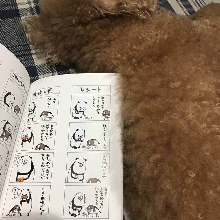 F76d69c9 b519 4ef9 987f 6e0e7a3ced8a 1524395851932