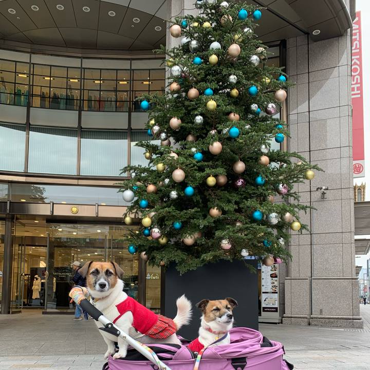 F76dcf6a b781 4379 9d31 b2588ae14864 1577100796224