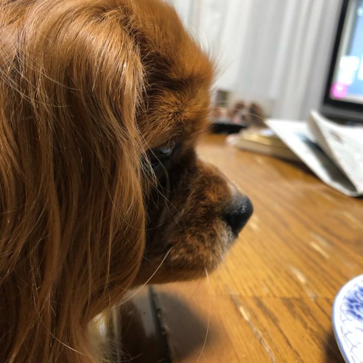 F76dda4d 1b5f 4067 8d16 375e59f27cc3 1614205377789