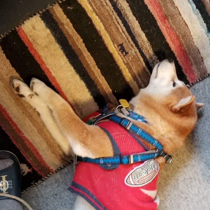 F76ddcb3 6a43 4b12 a93b f6fdd4e0e84e 1547941097255