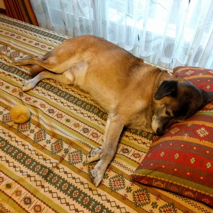 F76e0895 e39c 4a0f 9d29 a1a69444f4d6 1600818369245