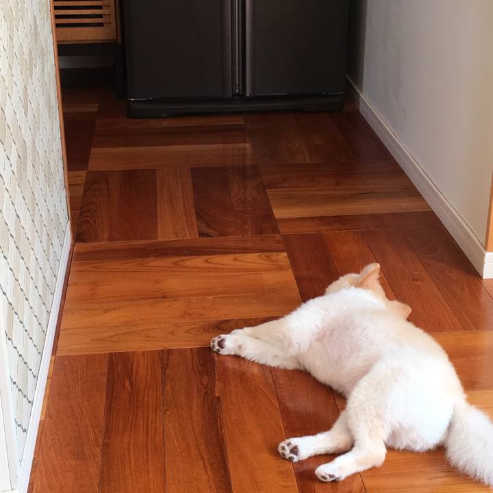 F76e1e19 a89d 4992 8030 ccc0f4a3799d 1535254261947