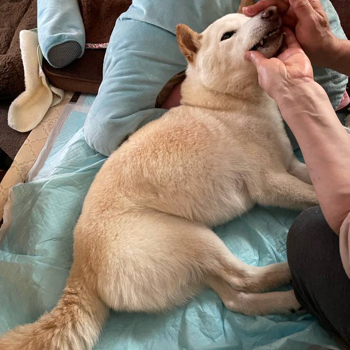 F76e3811 76d0 4a22 9022 3ac832664075 1649908450256