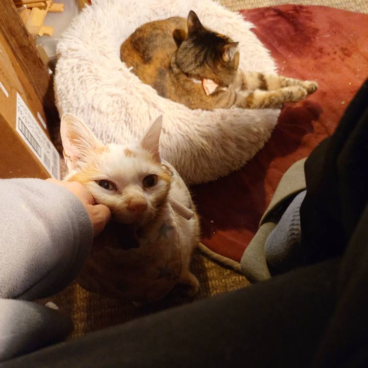 F76e6d3f 8b6e 4b6e b021 cb3b99c0c93c 1763713790656