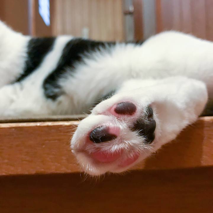 F76ebf1f 4d2e 4dd3 821c e12c77d1c188 1511572339995