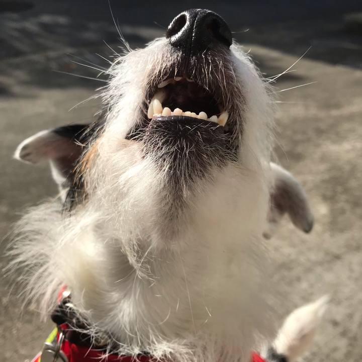 F76ee8cd 9234 44bd 9089 63728e47aadc 1542329995130