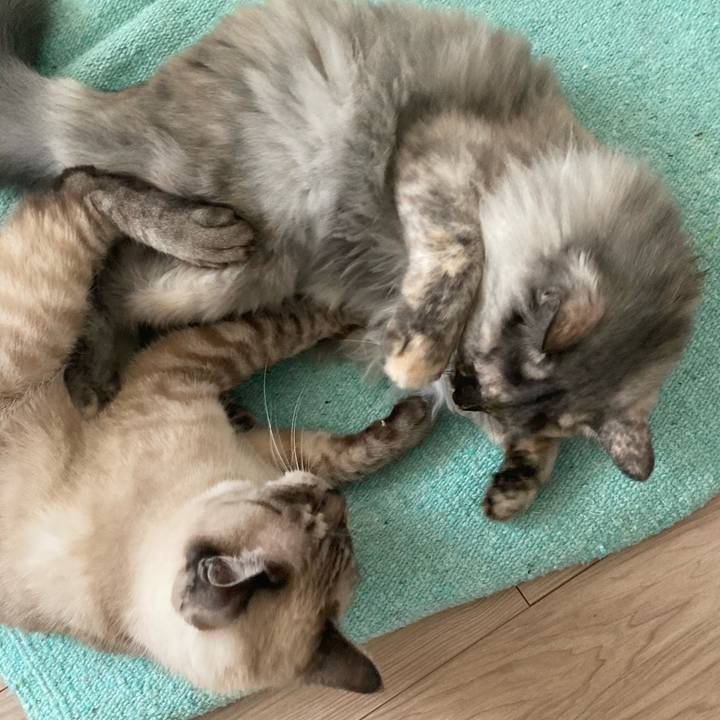 F76ef0c2 a15e 4357 b3a0 498a32036afd 1729493101722