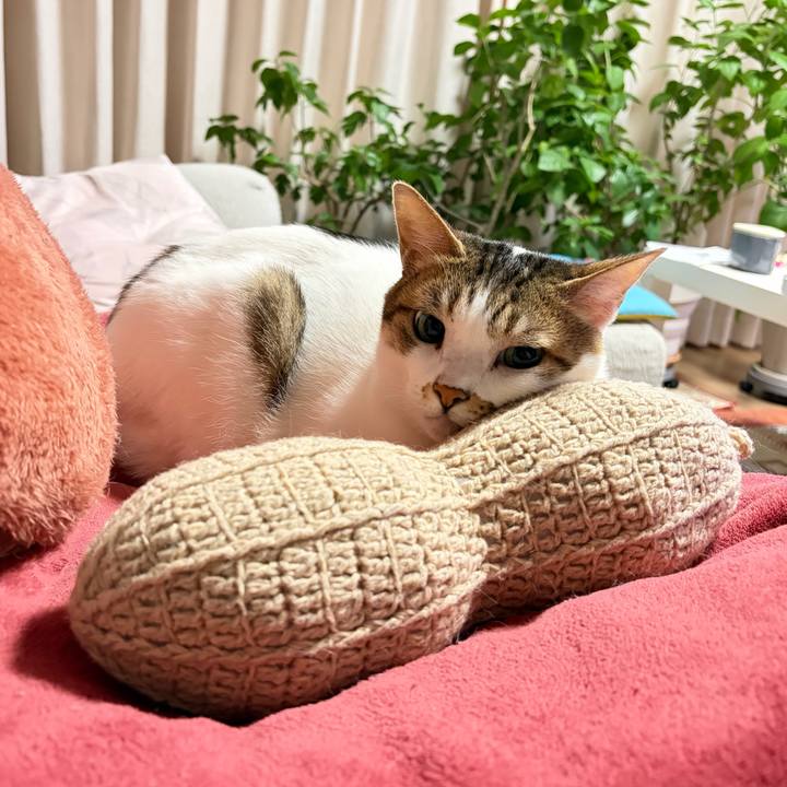 F76f0041 8087 43a4 9663 19fdc44d49ca 1771456947803