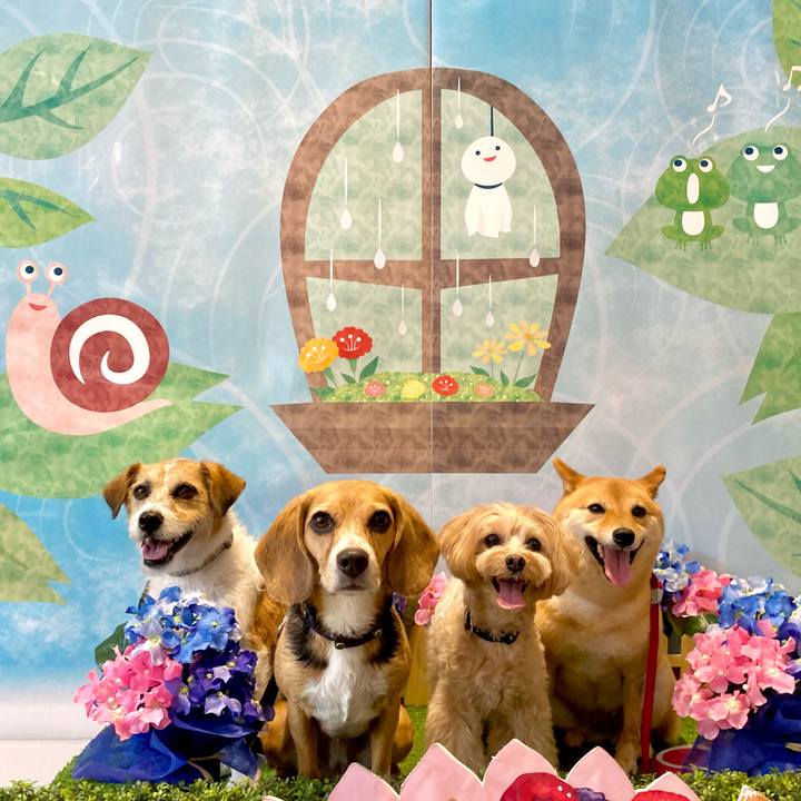 F76f4f1a b1be 4943 b6c2 b6966b2a943c 1655949079911