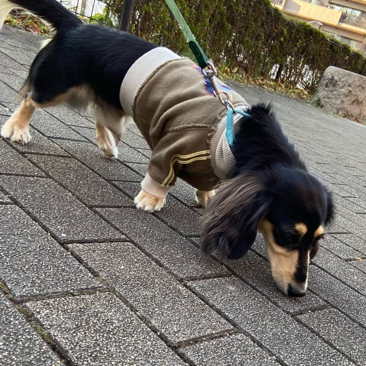 F76f77e7 4c63 4f82 839b d5db2716d991 1702189932654