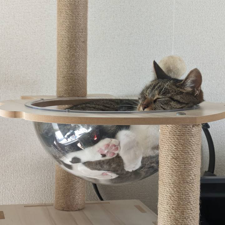 F76f9033 9929 4f57 98b7 e6c953d27f03 1718061313281