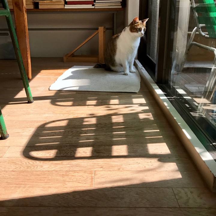 F76fc83c e27f 4053 9fb7 1caacc1ec197 1509163664255